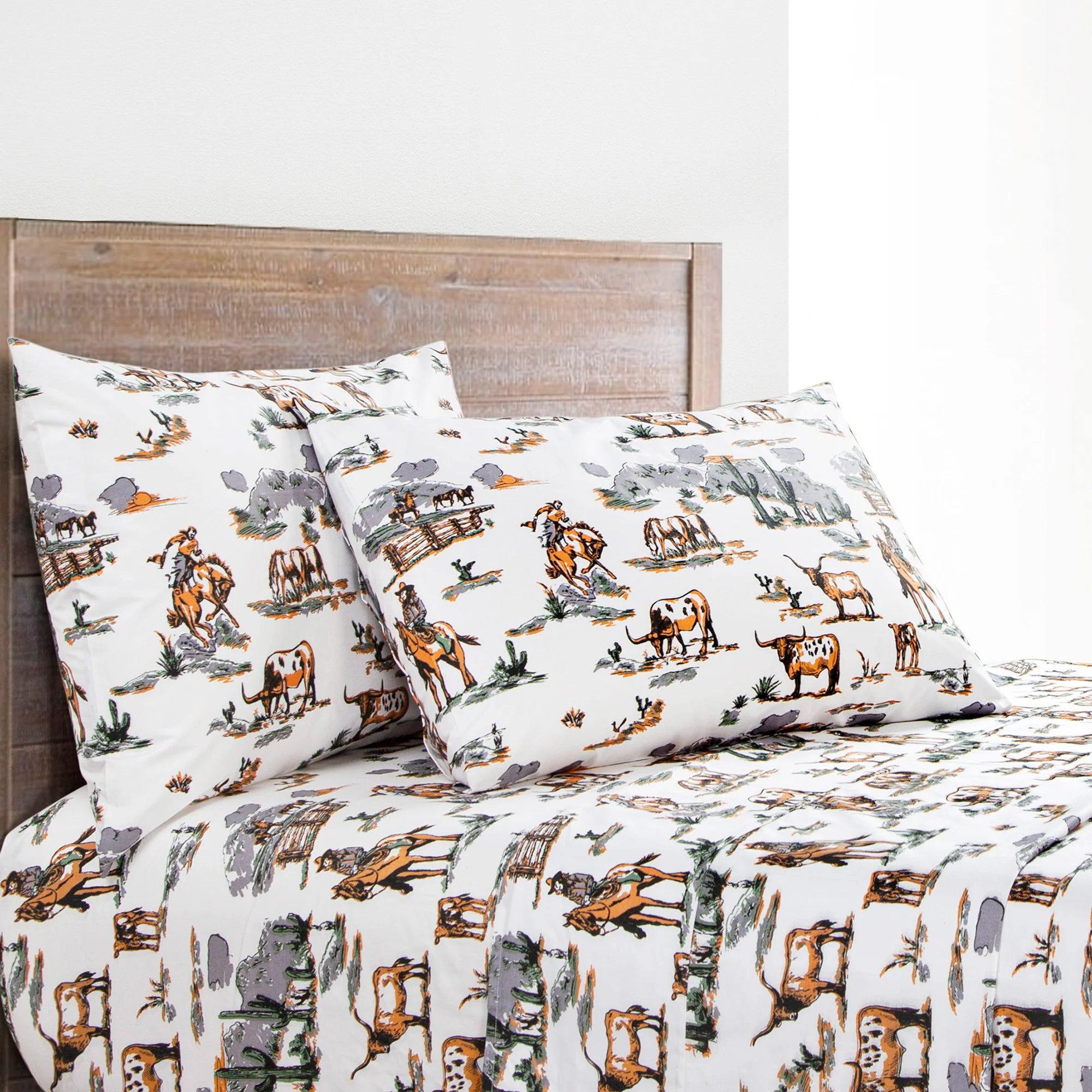 Color Box Ranch Ranch Sketches Color Sheet Set – Pecos Place